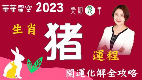 豬2023運勢|【2023豬運勢】2023豬運勢：福星高照，一路旺到年底！ 財運桃。